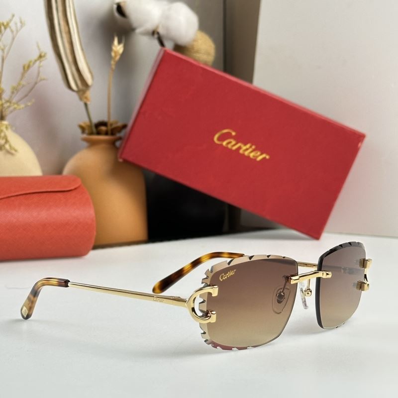 Cartier Sunglasses